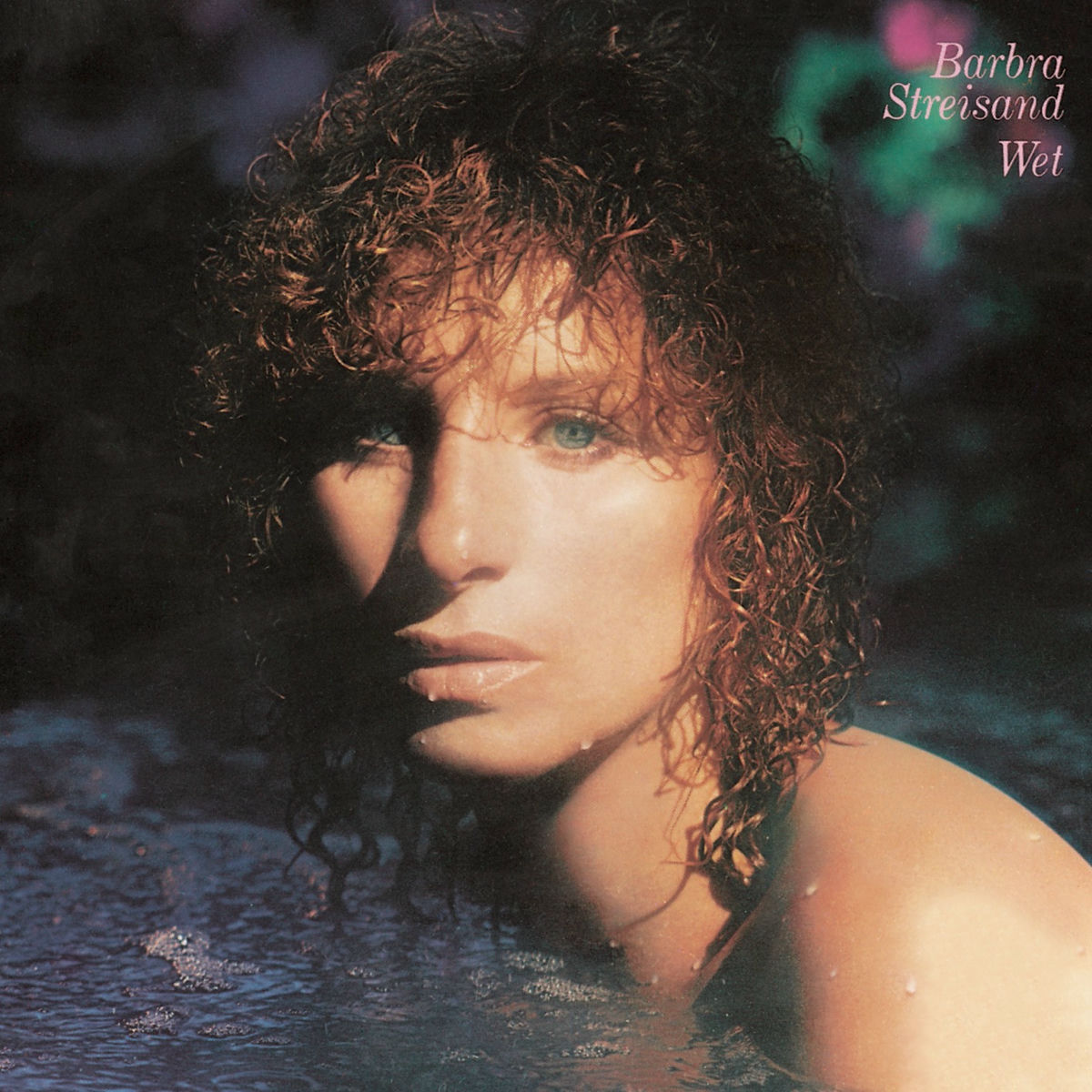 Album cover of Wet