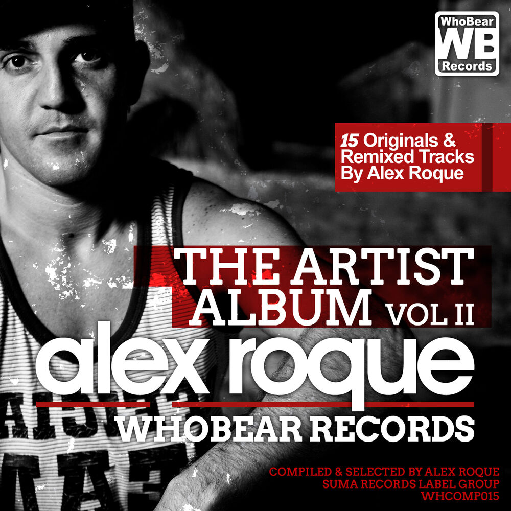 Picture of The Artist Album, Vol. II