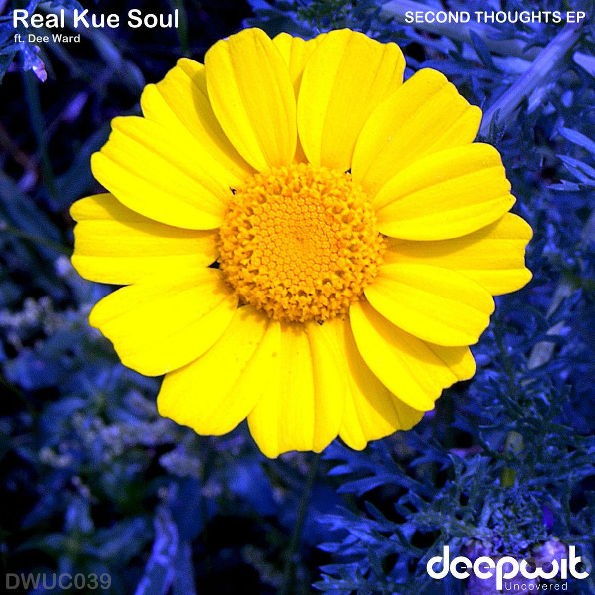 Album cover of Second Thoughts