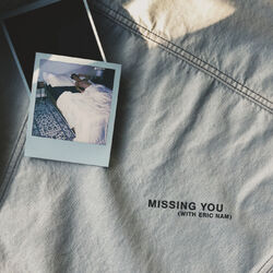 Cover of missing you