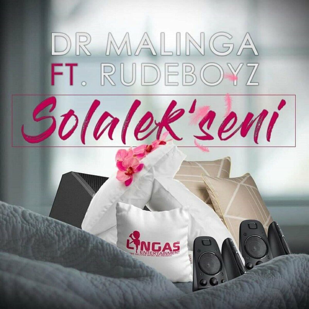 Album cover of Solalek'seni