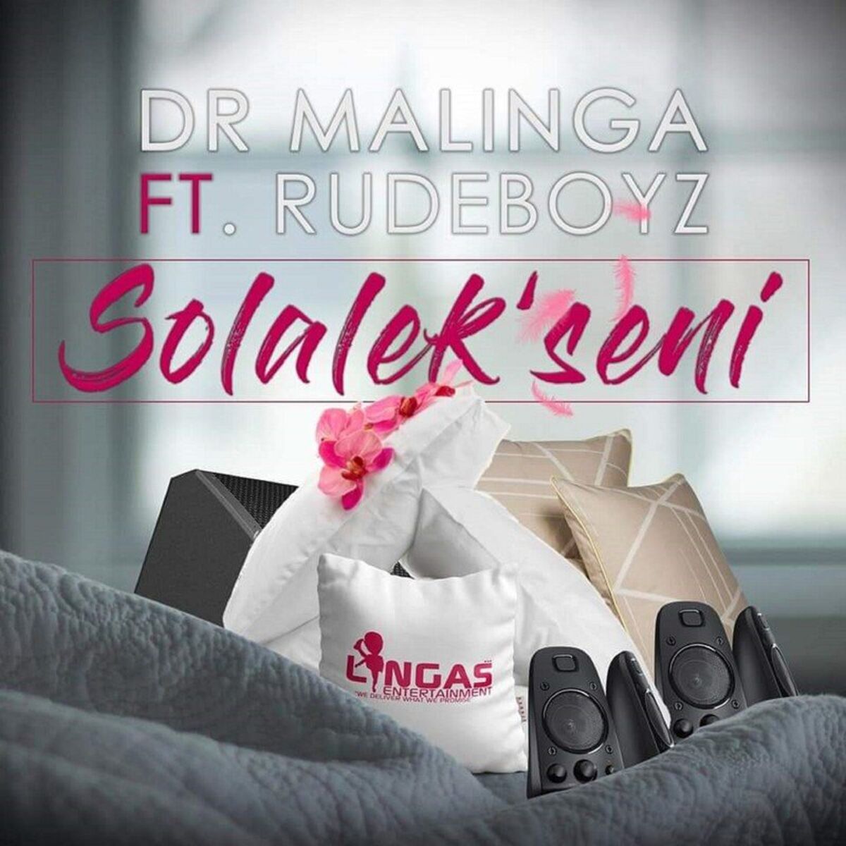 Album cover of Solalek'seni