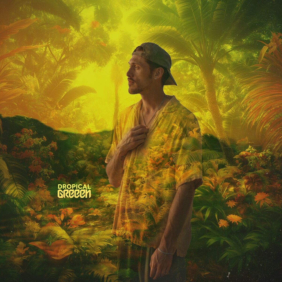 Album cover of Rollercoaster