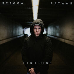 Cover of High Risk