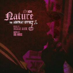 Cover of The Ashtray Effect 2