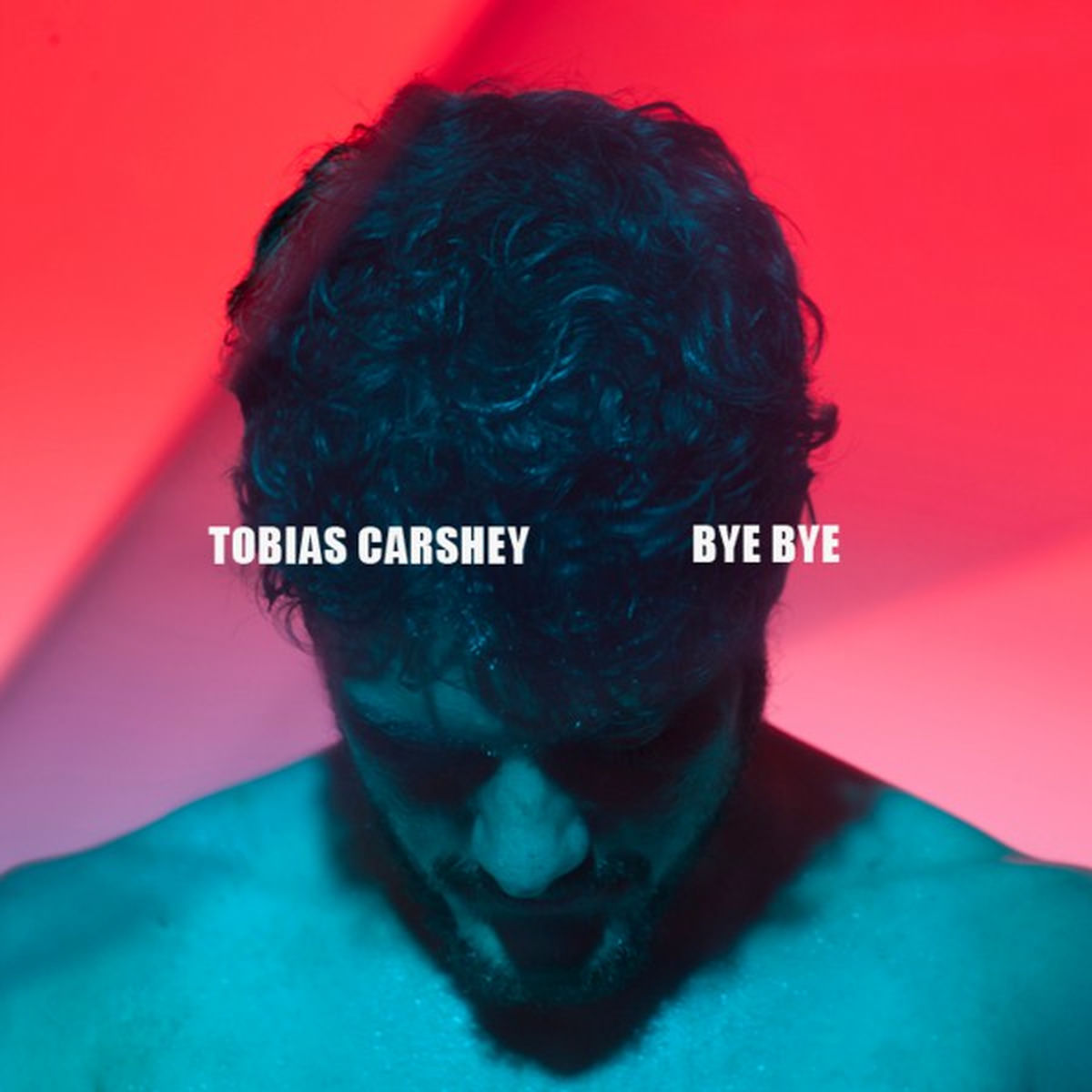 Album cover of Bye Bye