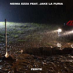 Cover of Ferite