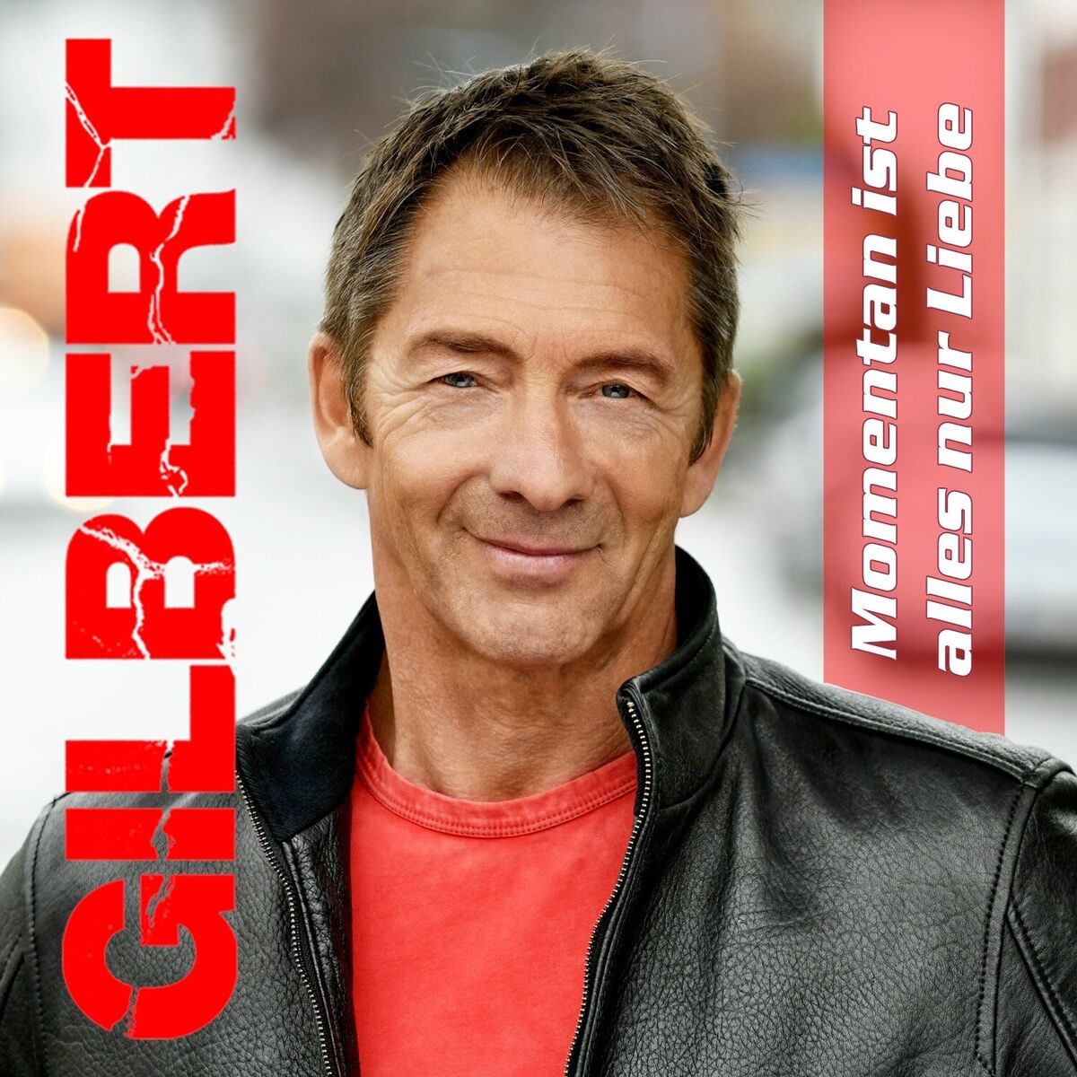 Album cover of Momentan ist alles nur Liebe