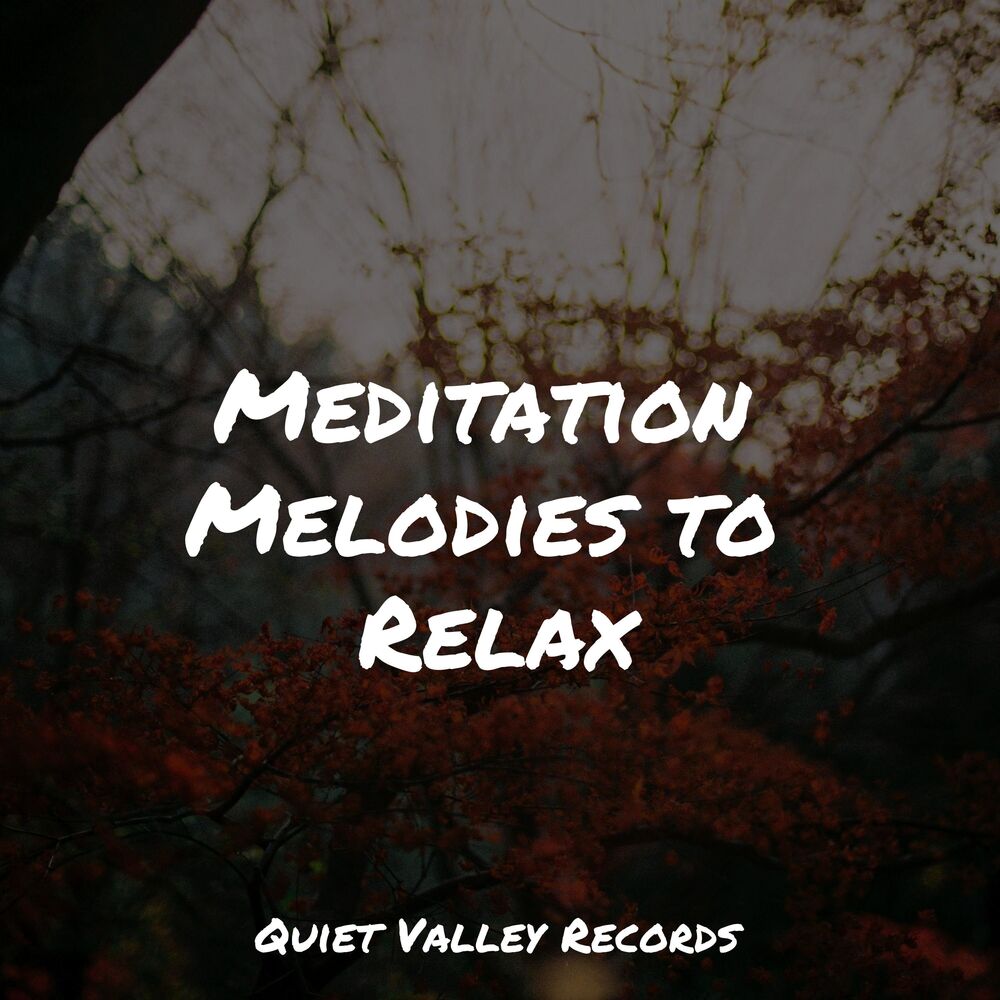 Picture of Meditation Melodies to Relax