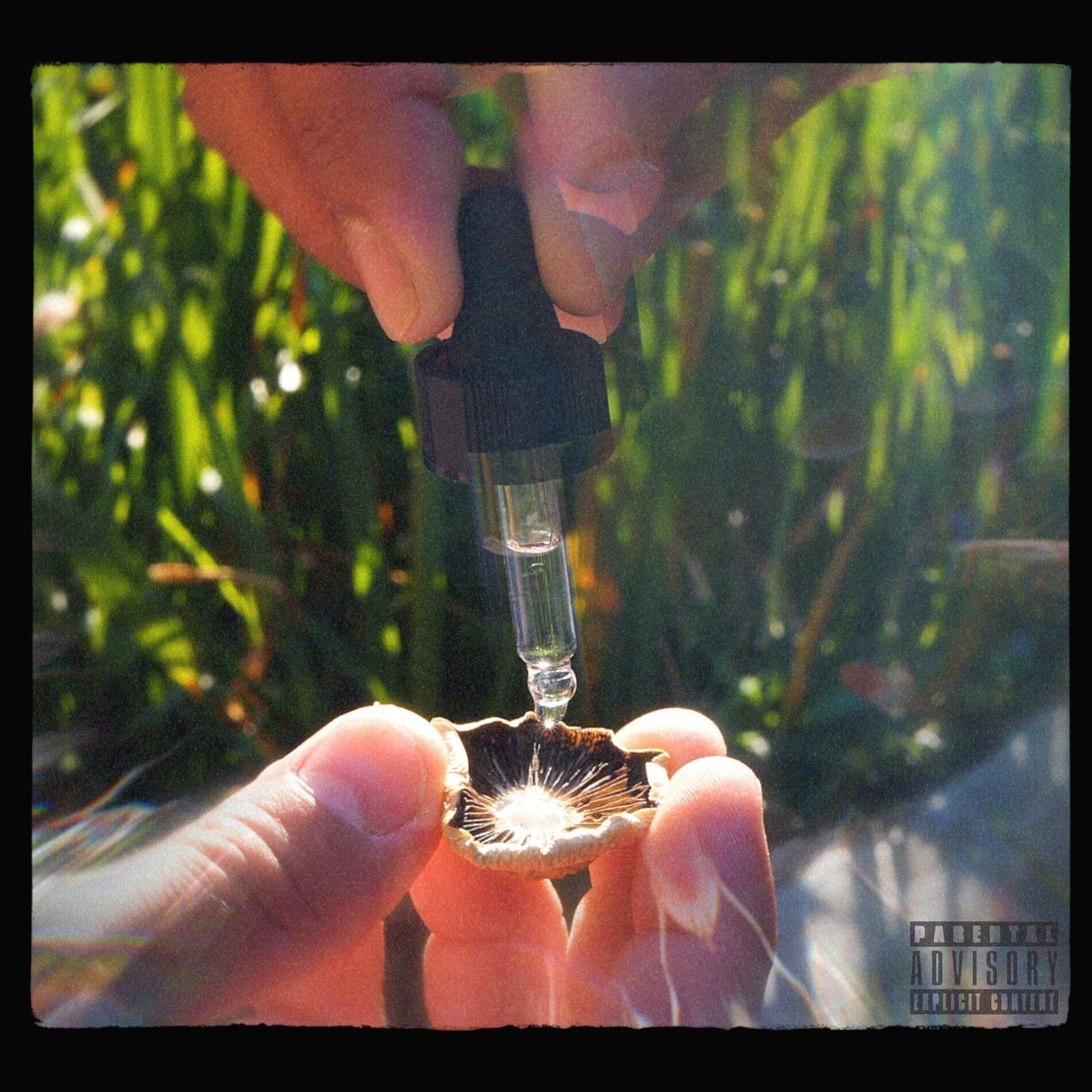 Album cover of Gladiate (feat. Oso, Andre Anthem & Cor)