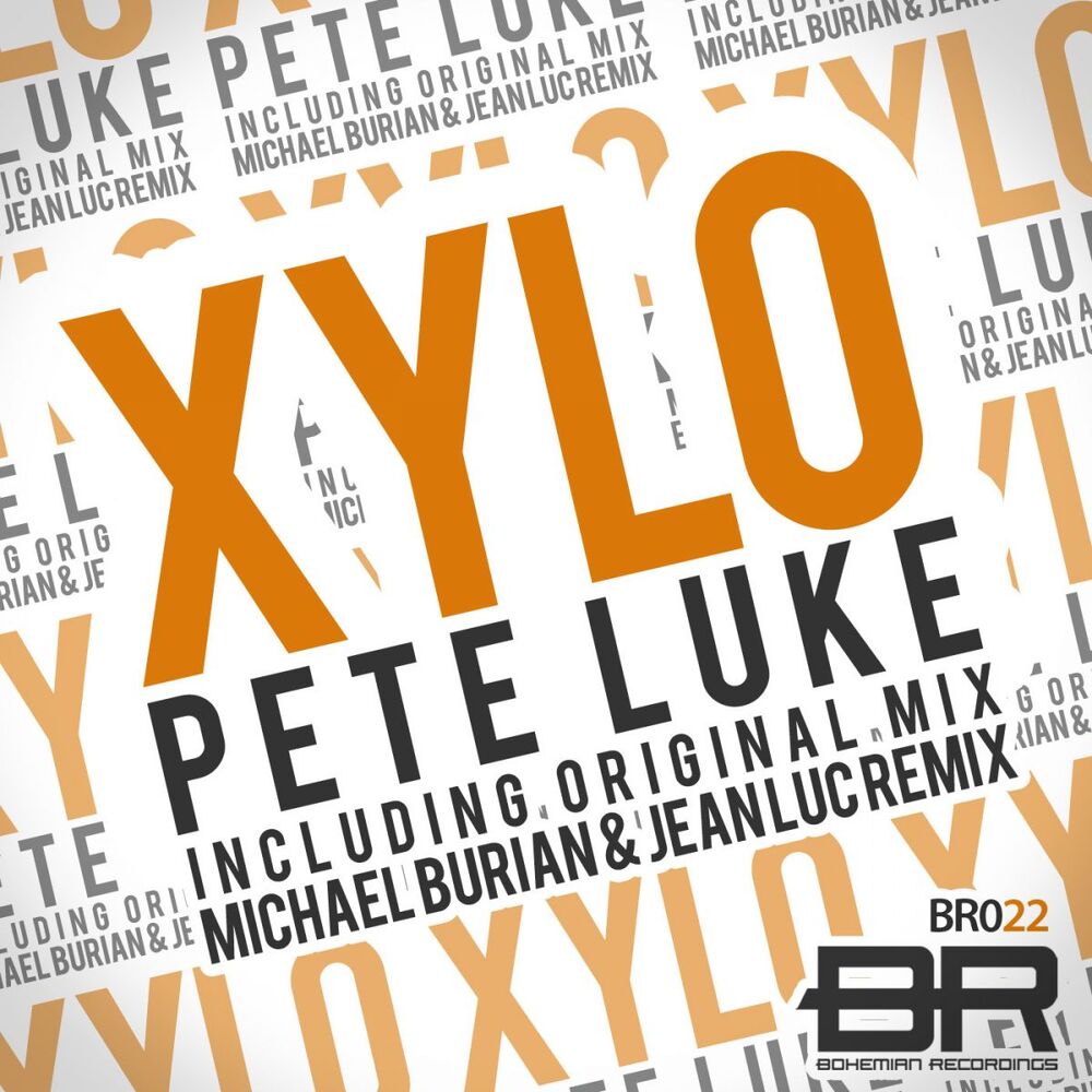 Picture of XYLO
