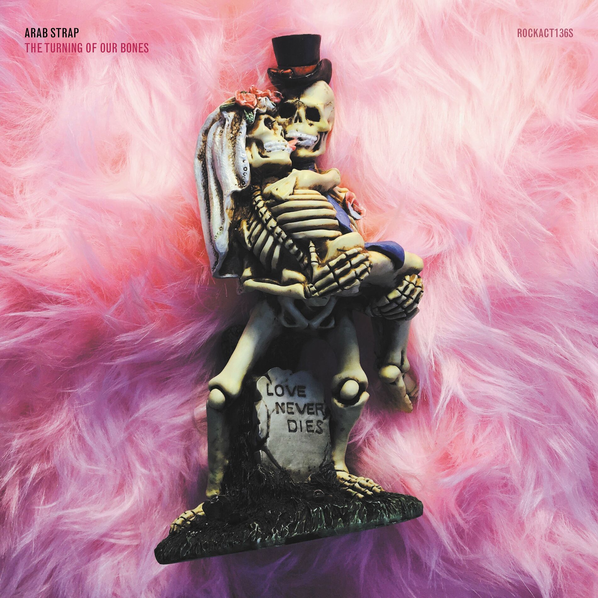 Album cover of The Turning of Our Bones