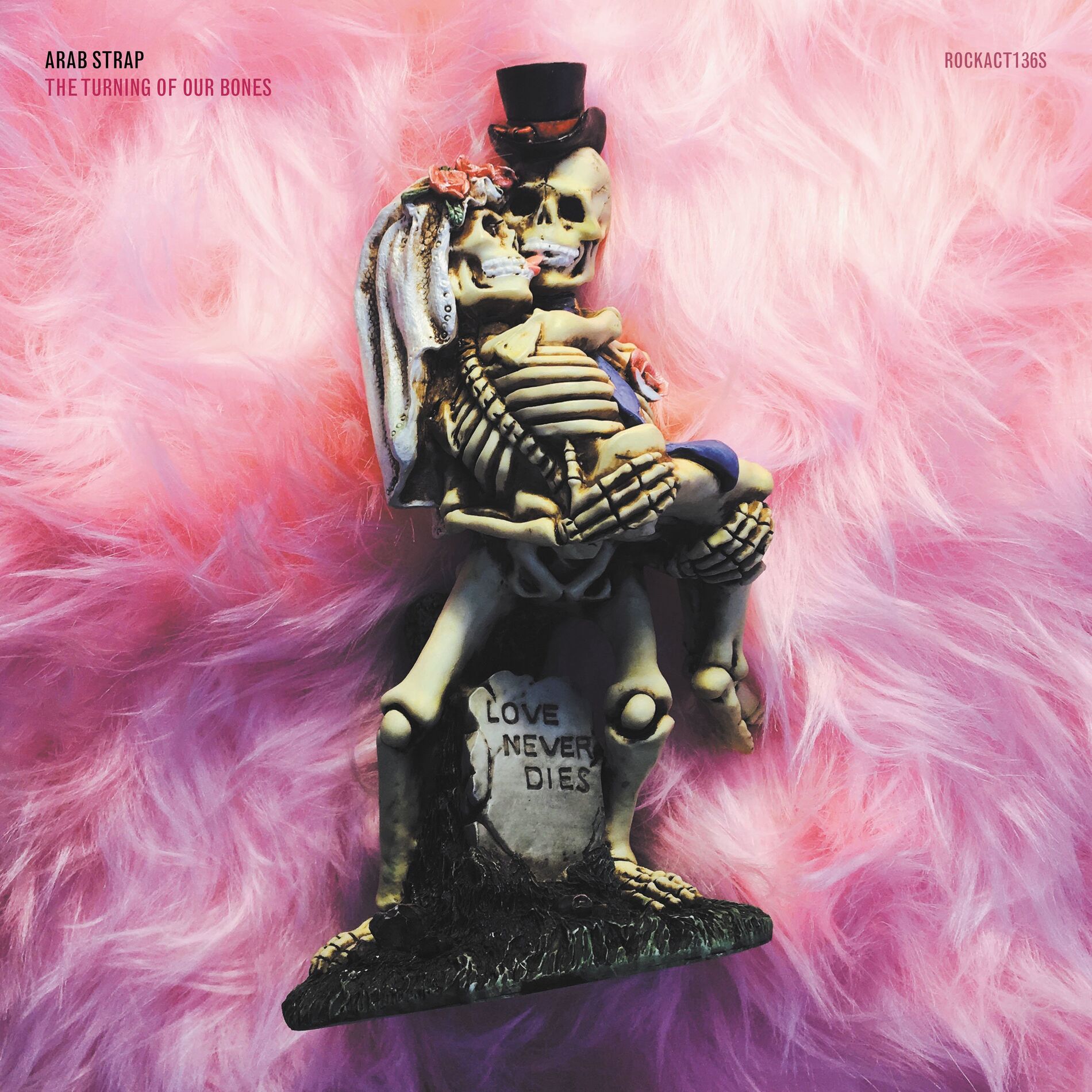 Album cover of The Turning Of Our Bones