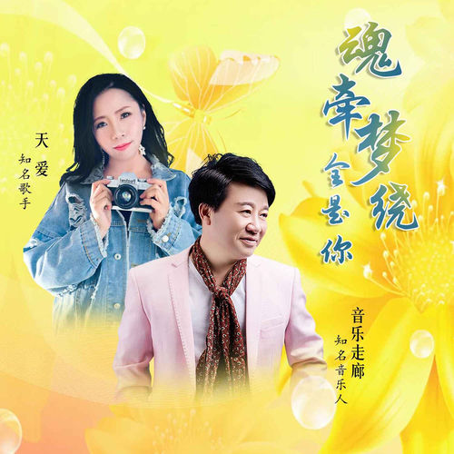 魂牵梦绕全是你 (舞曲版)