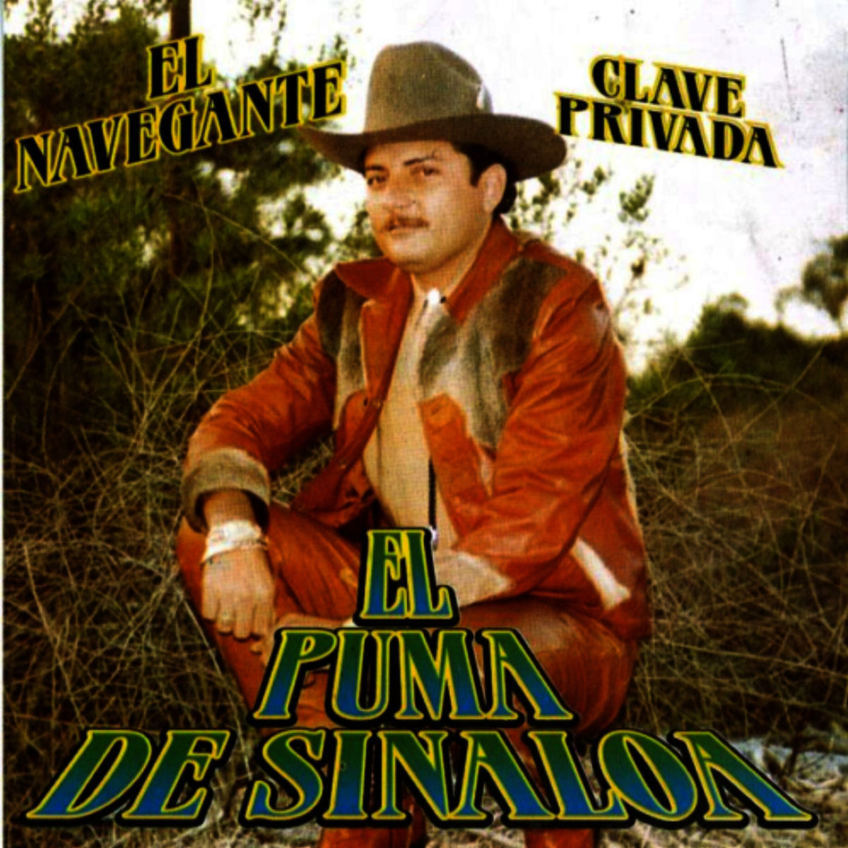 Album cover of El Navegante