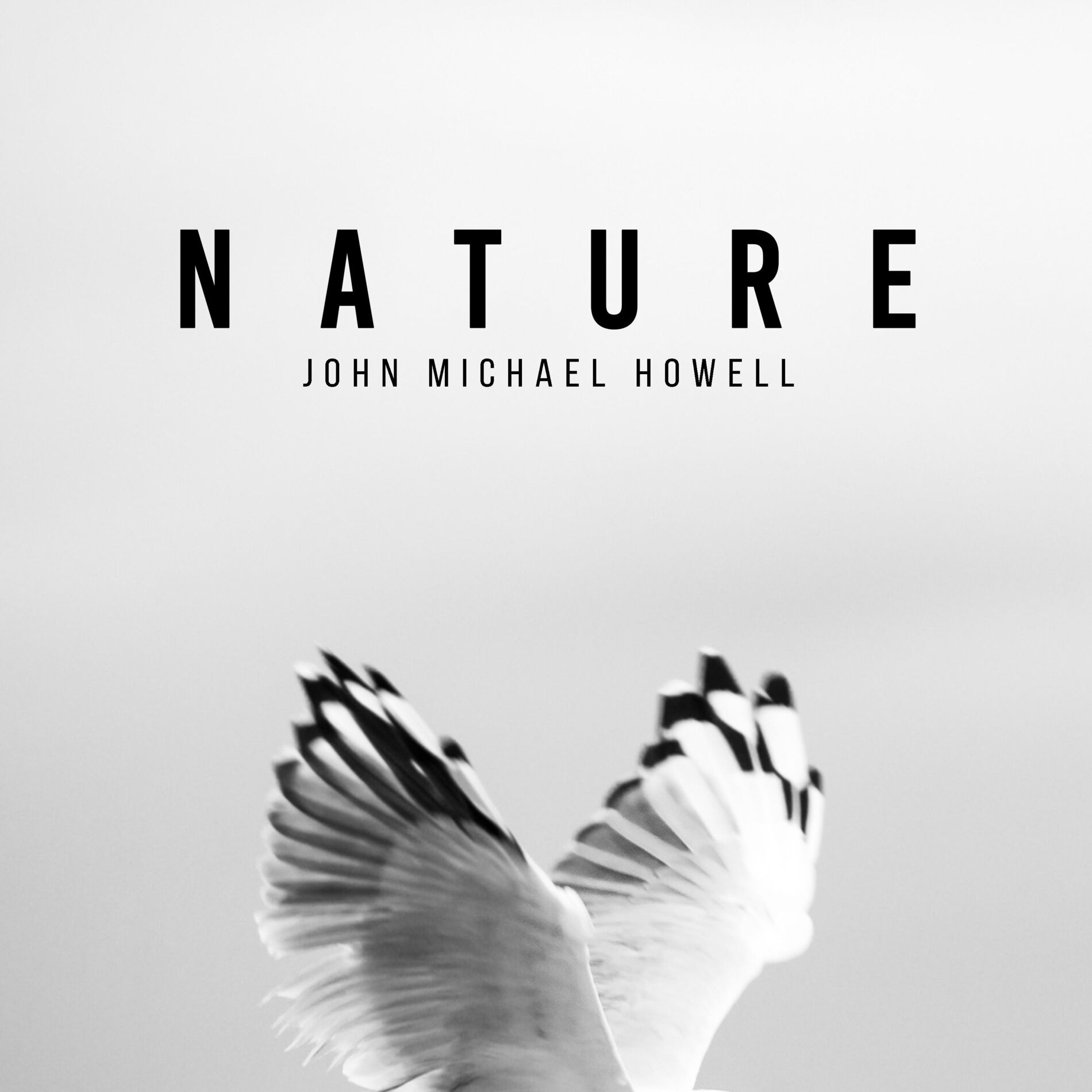 Album cover of Nature (feat. John Michael Howell)