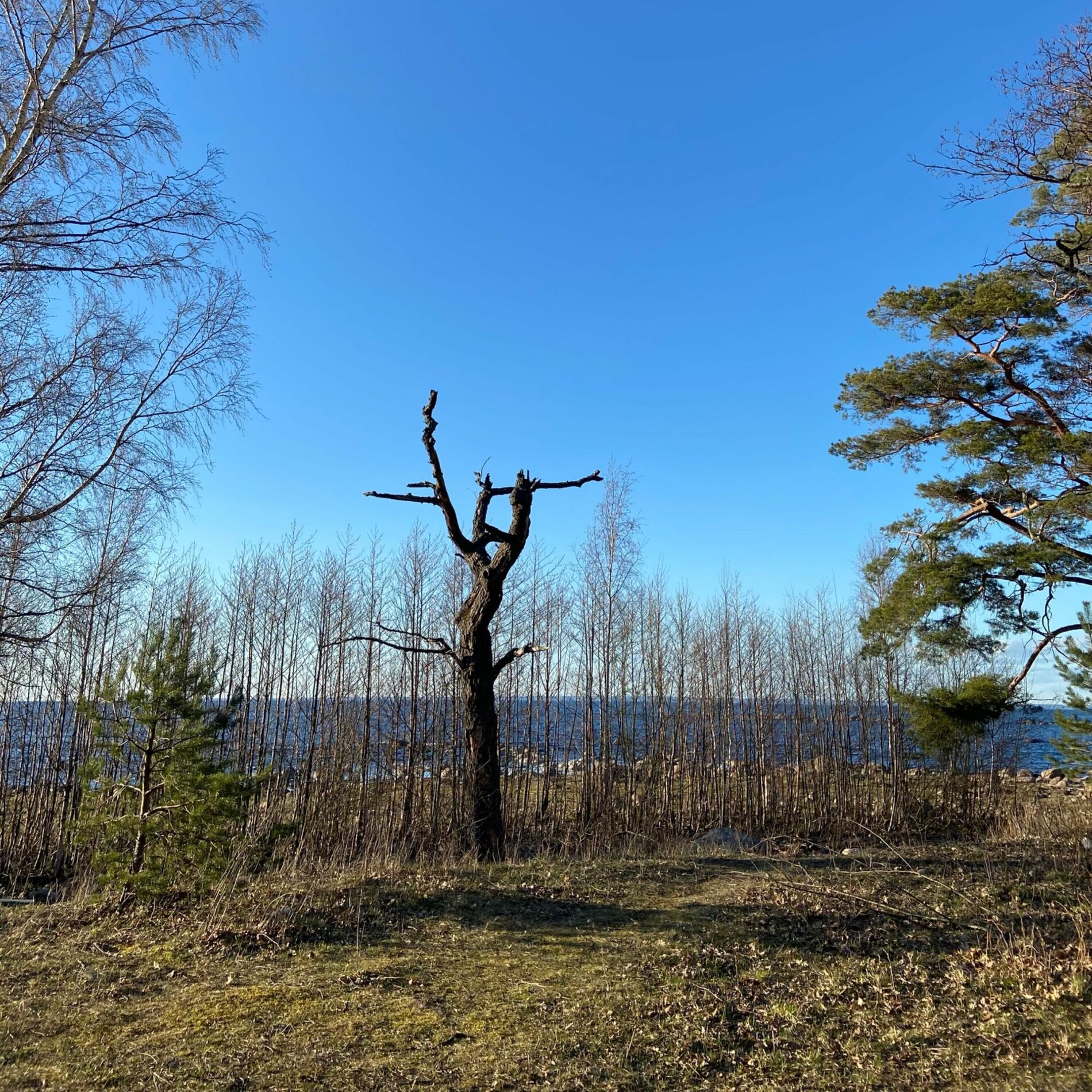 Album cover of Кого ты любишь