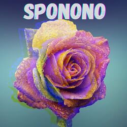 Cover of SPONONO