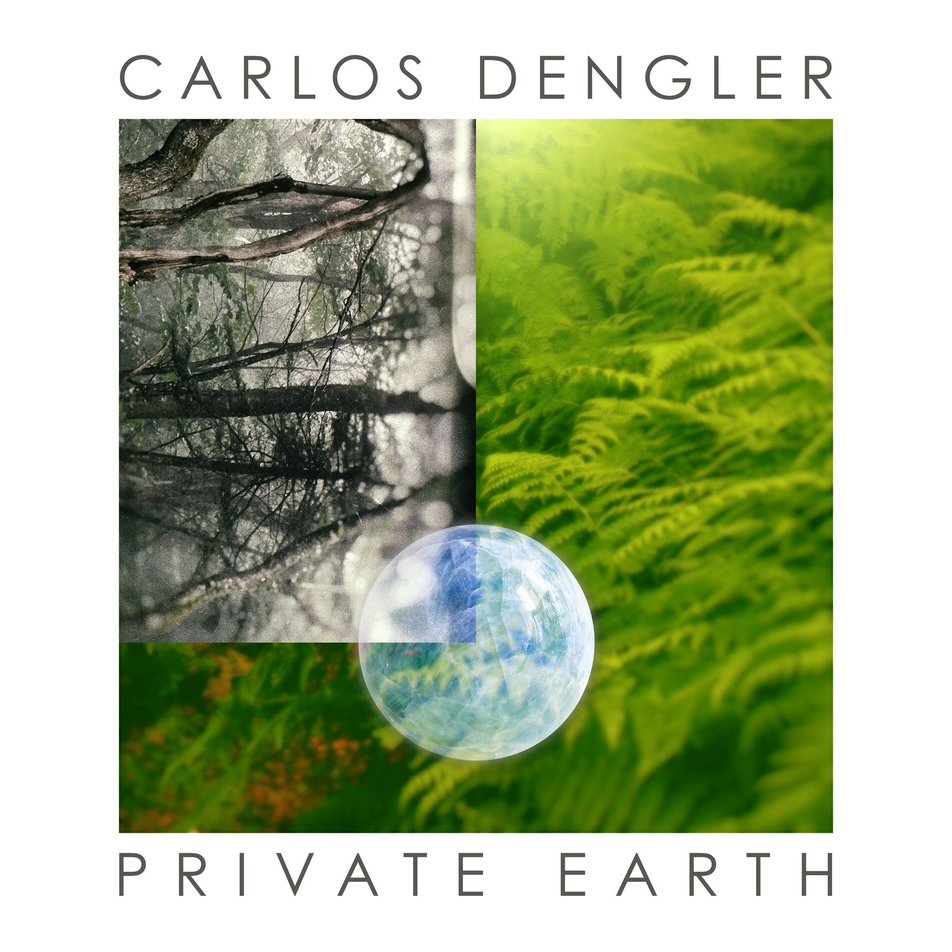 Album cover of Private Earth