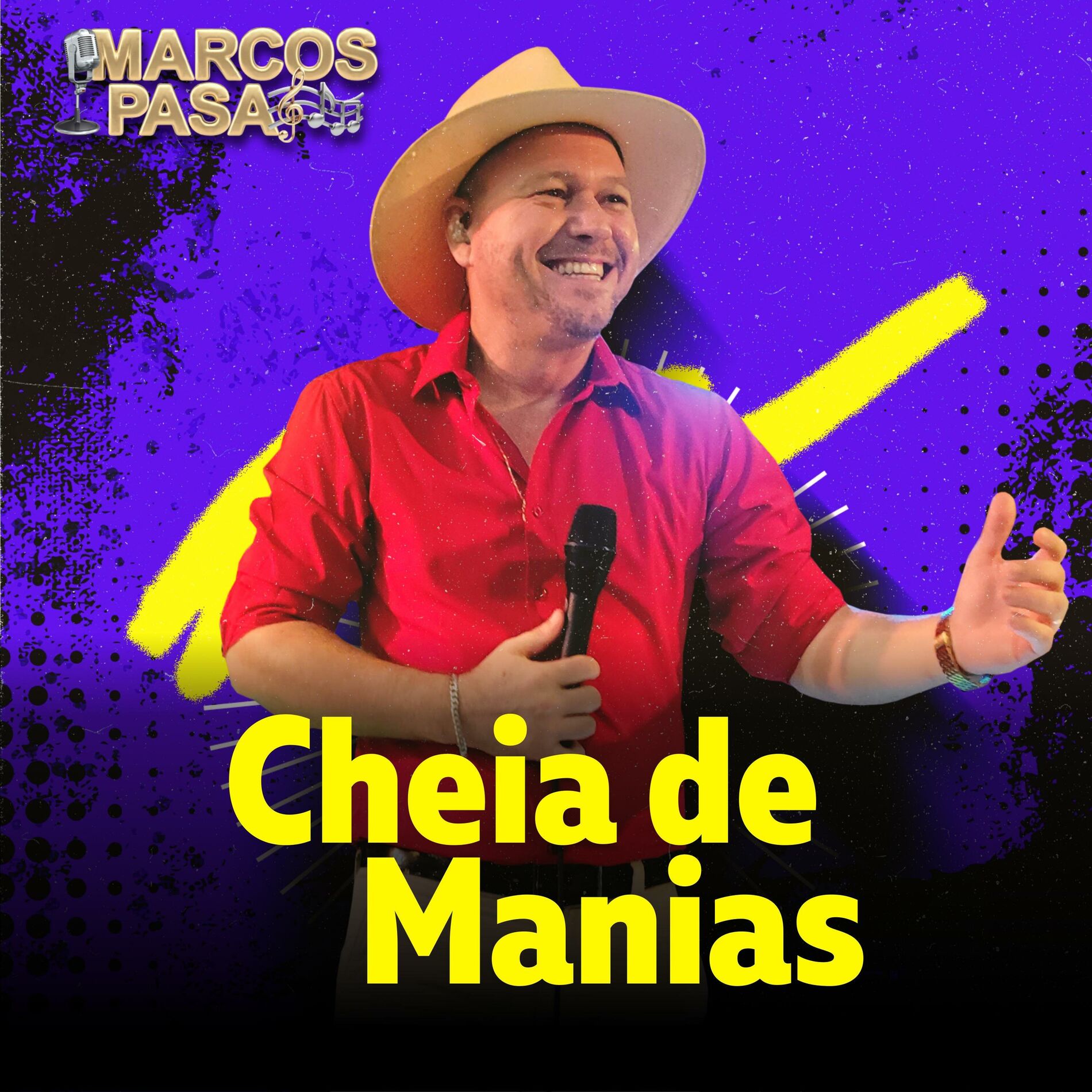 Album cover of Cheia de Manias (feat. Valdir Pasa)