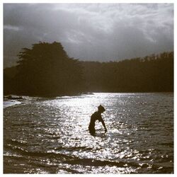 Cover of Hold Me Like A Summer