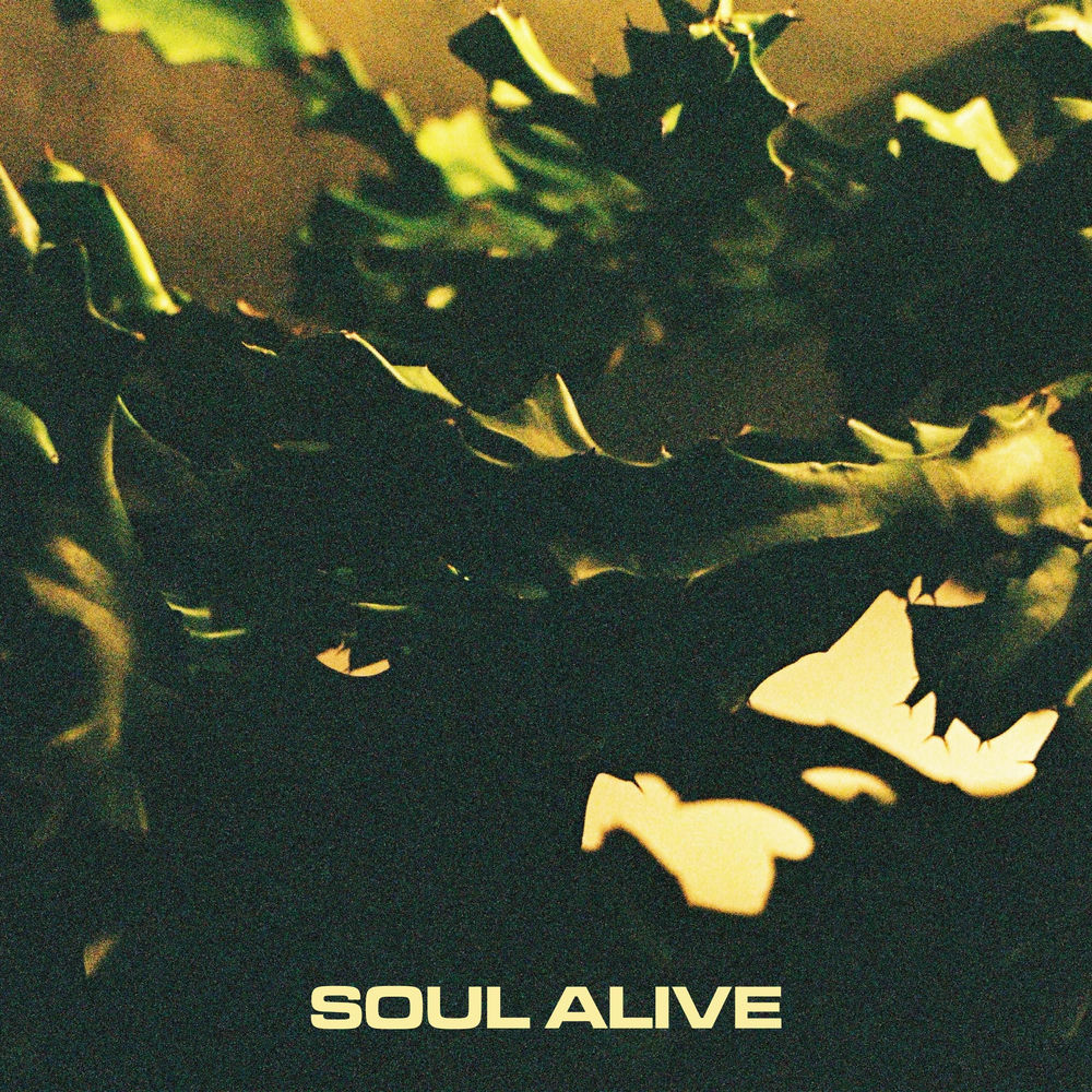 Soul Alive artwork