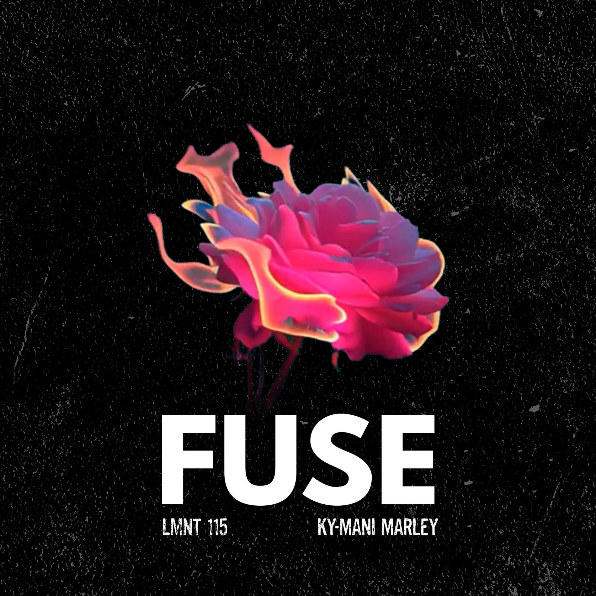 Album cover of Fuse