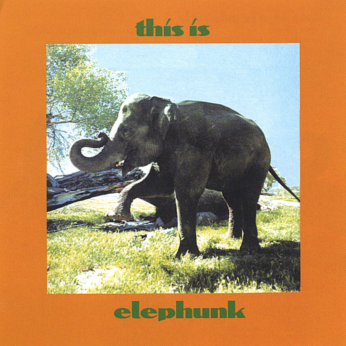 Album cover of This Is Elephunk