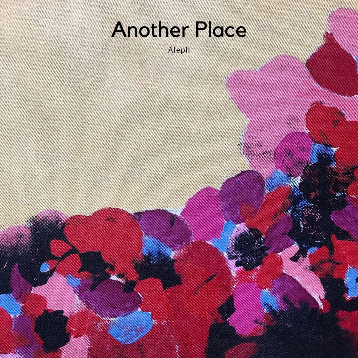 Album cover of Another Place