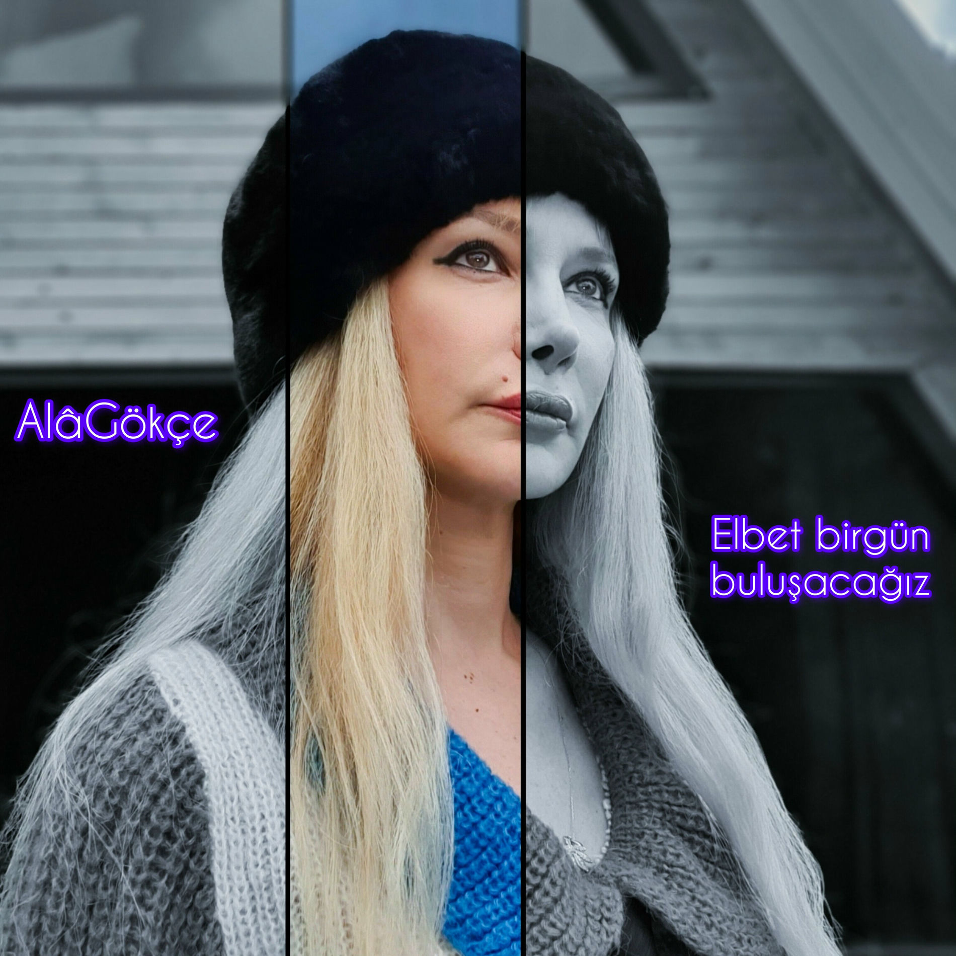 Album cover of Elbet Bir Gün Buluşacağız (AlâGökçe)