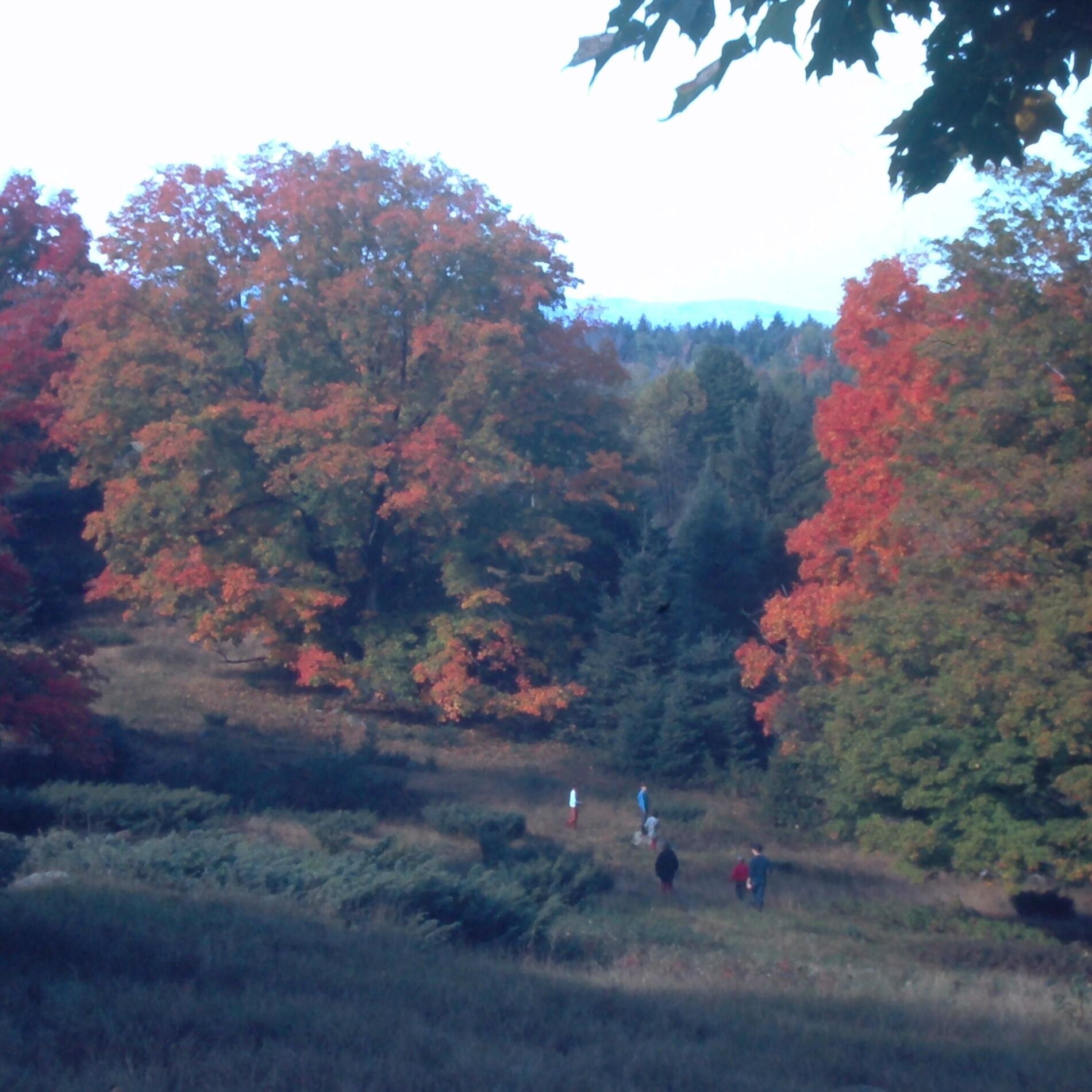 Album cover of Ontario