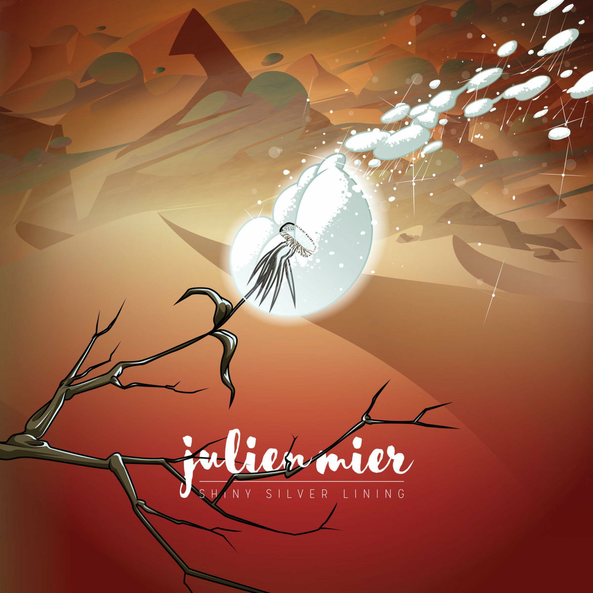 Album cover of Shiny Silver Lining