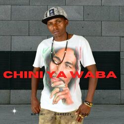 Cover of Chini ya Waba