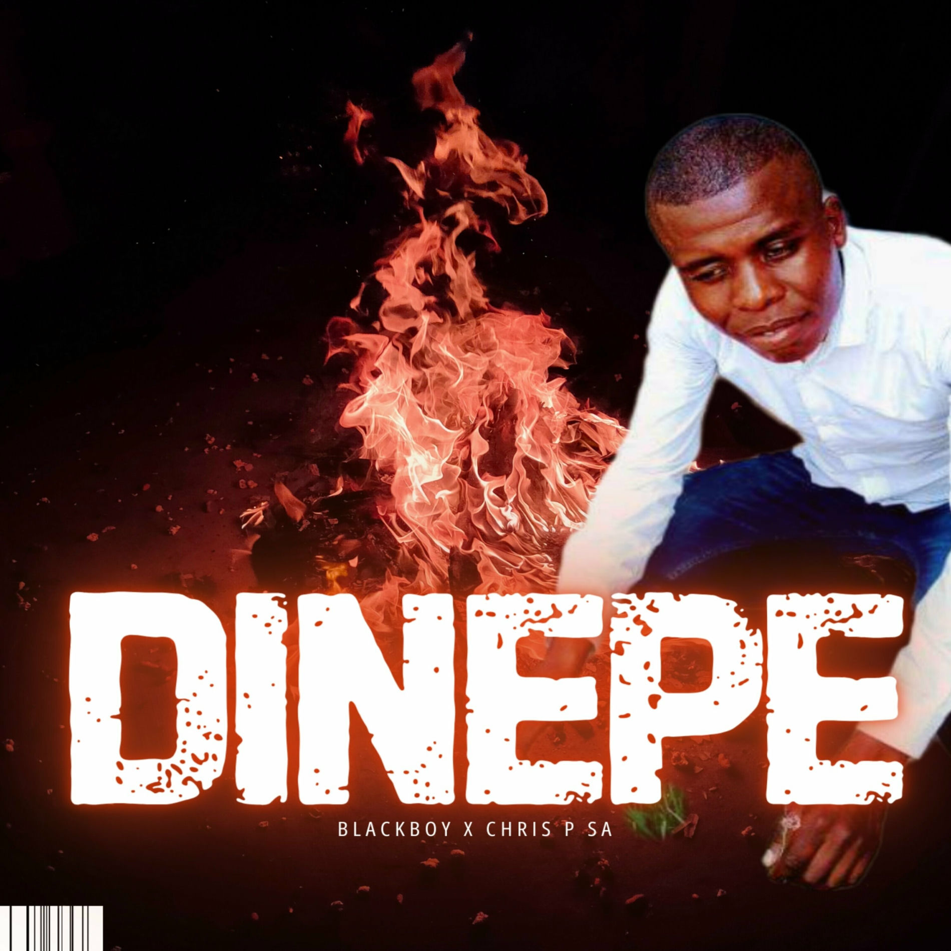 Album cover of DINEPE