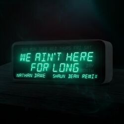 Cover of We Ain't Here For Long (Shaun Dean Remix)