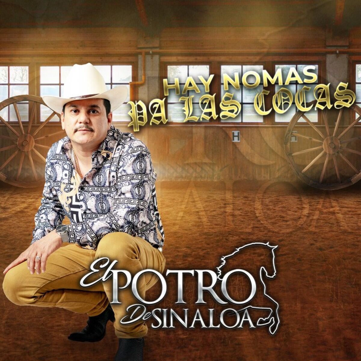 Album cover of Hay Nomas Pa Las Cocas (En Vivo)