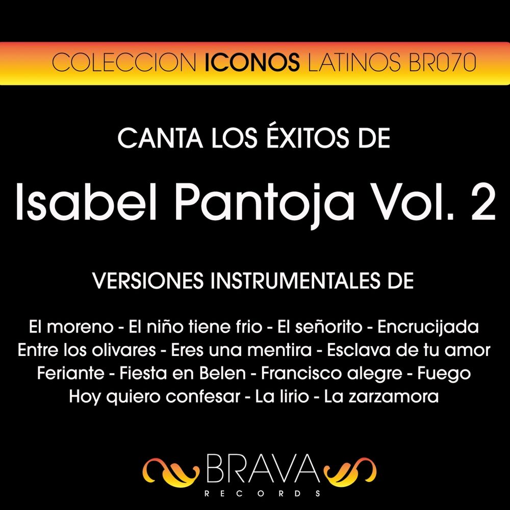 Picture of Canta los Exitos de Isabel Pantoja #2