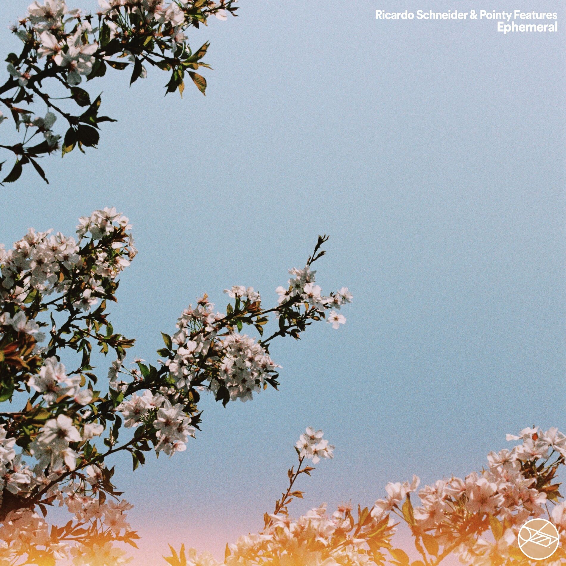 Album cover of Ephemeral
