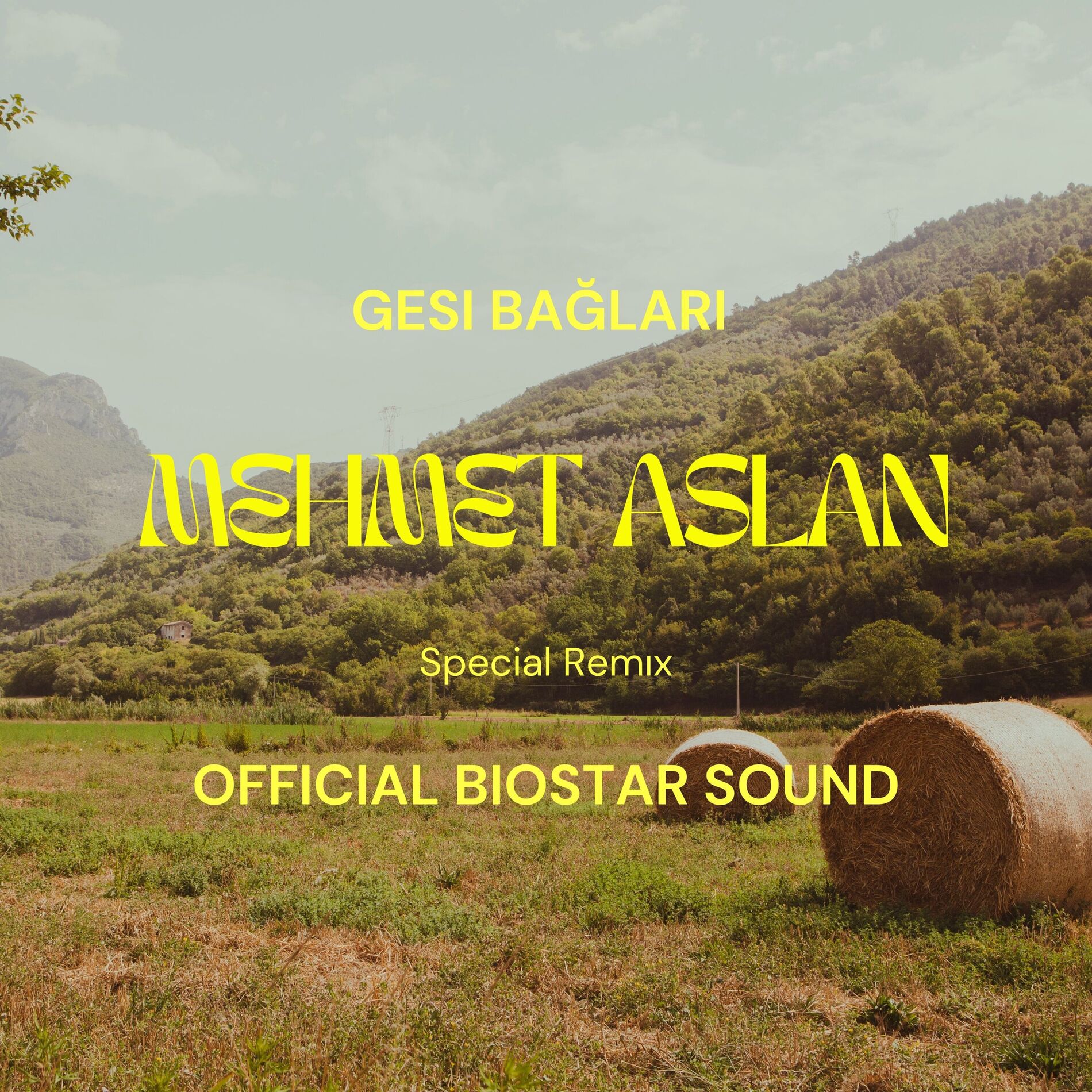 Album cover of Gesi Bağları (Special Remix)