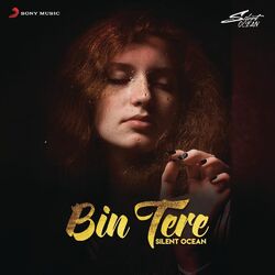 Cover of Bin Tere