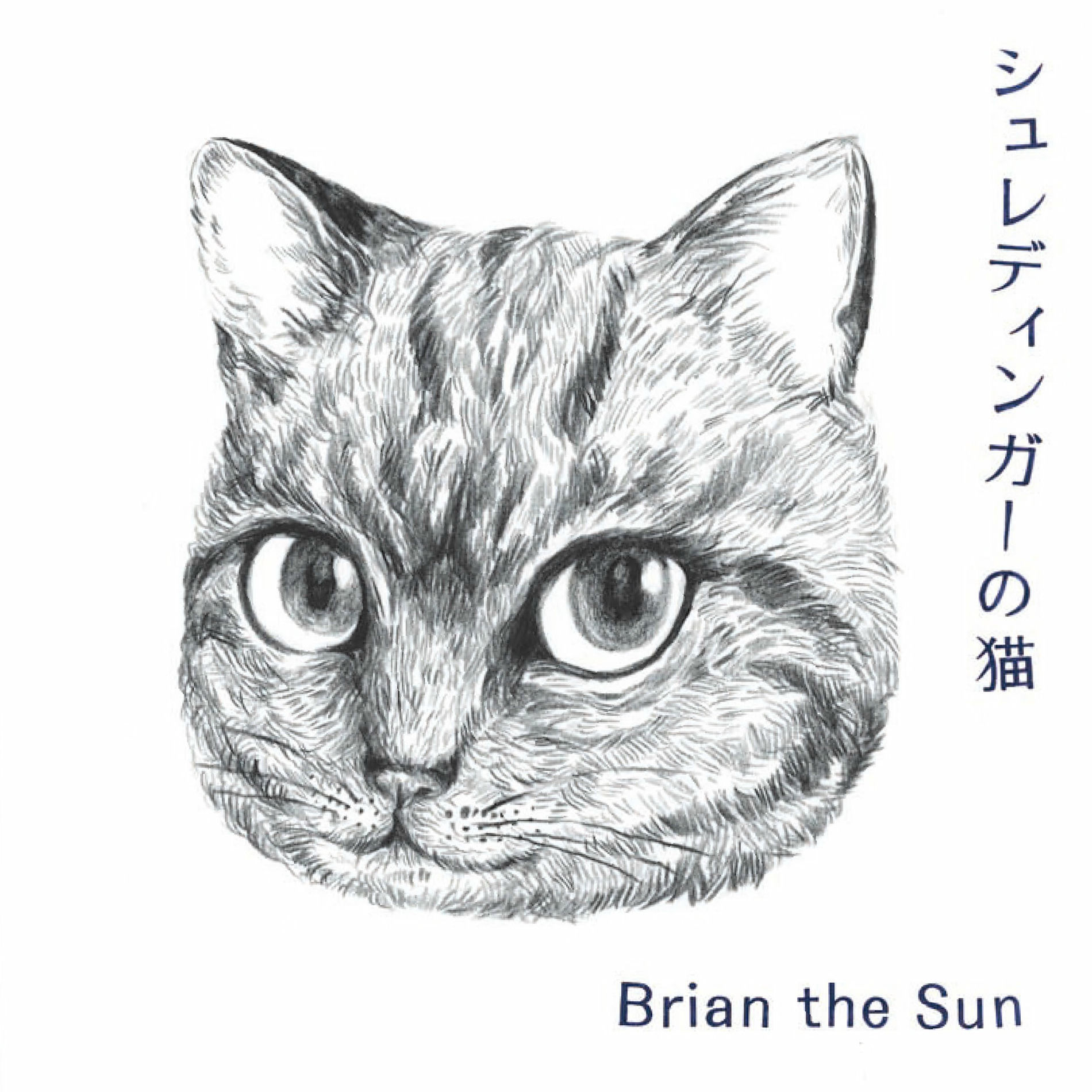 Album cover of 都会の泉