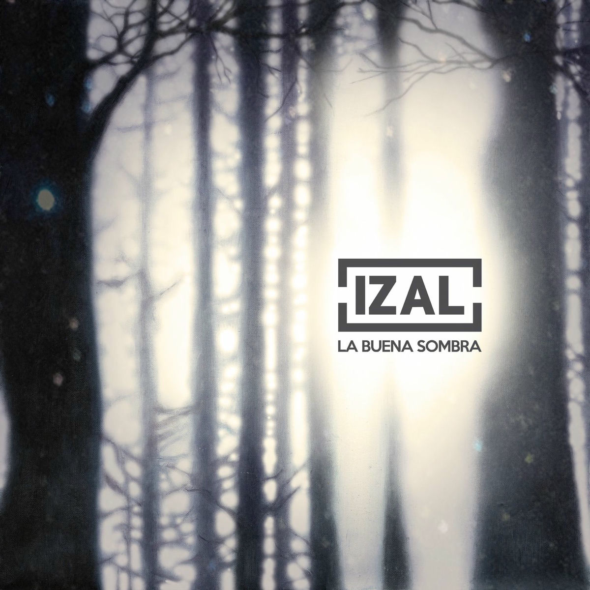 Album cover of La Buena Sombra