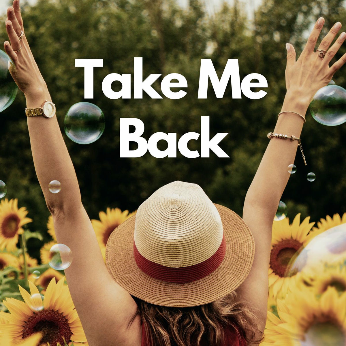 Album cover of Take Me Back
