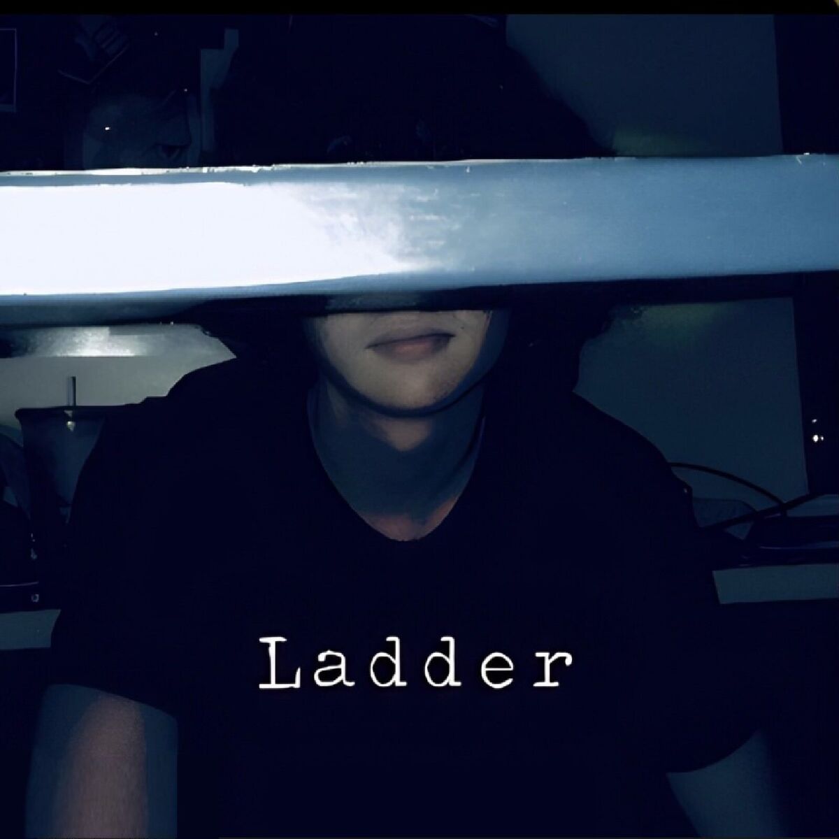 Album cover of Ladder