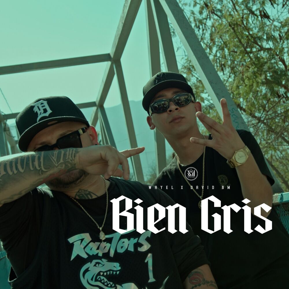 Picture of Bien Gris