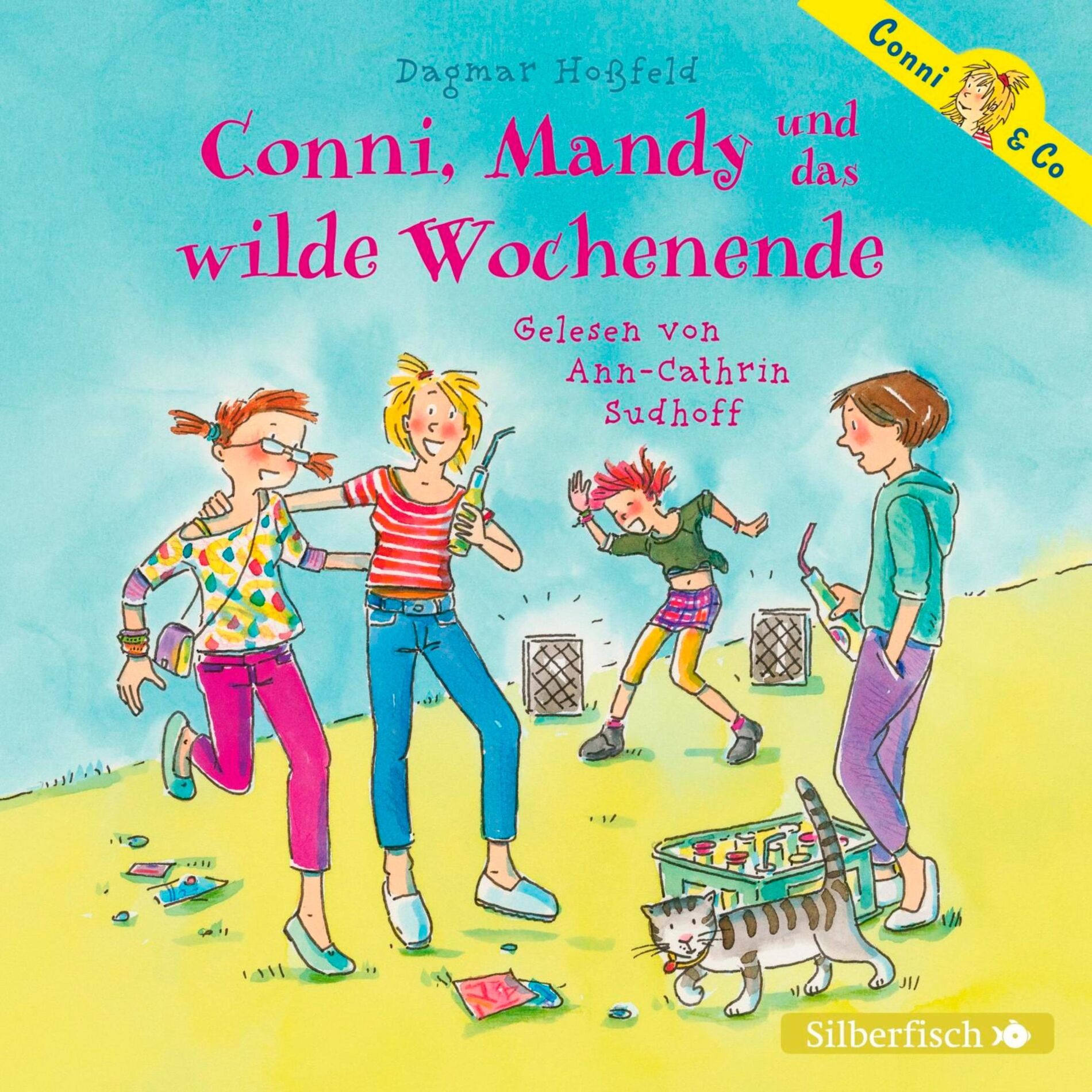 Album cover of Conni & Co 13: Conni, Mandy und das wilde Wochenende