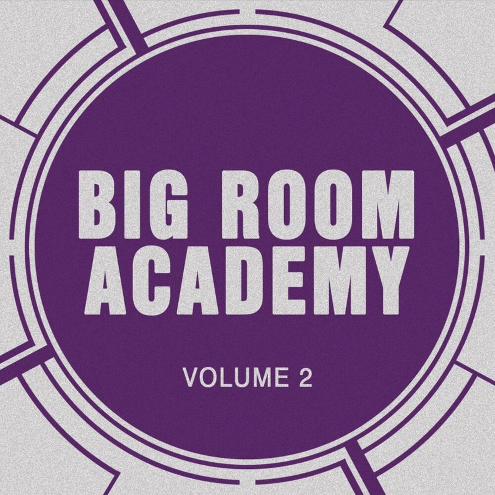 Picture of Big Room Academy, Vol. 2