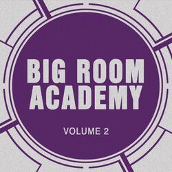 Cover of Big Room Academy, Vol. 2