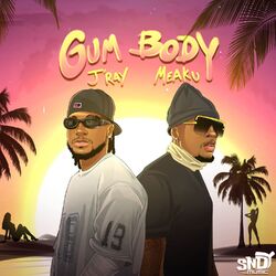 Gum Body