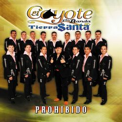 Cover of Prohibido
